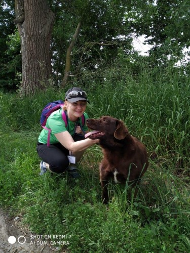 DRUGIE SPOTKANIE W MIEJSKIM SCHRONISKU | Psy do adopcji czekają